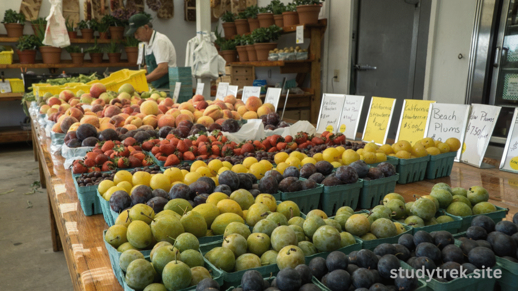 ocean beach farmers market